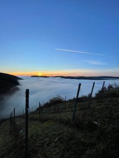 Urlaub-WeinhofHerrenberg 2 - - 2