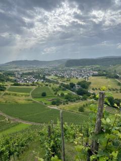 Urlaub-WeinhofHerrenberg 2 - - 1