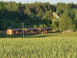 Domki PRZY LEŚNICZÓWCE - Wiele - 2