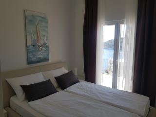 Villa Hrvatska - Ražanj - 1
