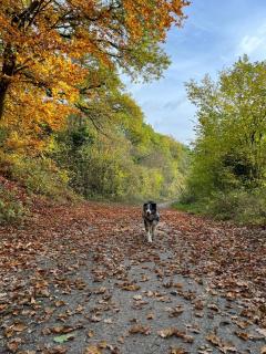 Chambre Vert Sauge, lit double 2 personnes, Maison en plein coeur du Parc Régional du Vexin - 8