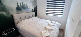 Apartman TITO Žabljak - Žabljak - 4