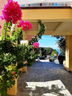 Kontis Apt 1 - Pelekas - 4