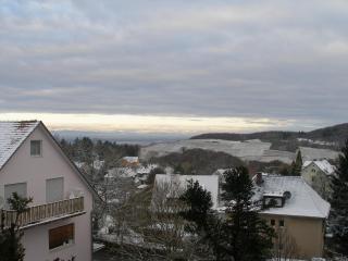 Ferienwohnung Vogesen - 7