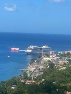 Fortune Sea view Villa - Roseau - 1