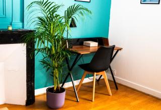 T1 centre-ville refait à neuf - 7