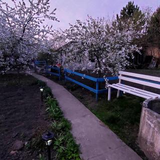 Коттеджный городок Чапаевка, Голосеевкий район - Kiev - 3