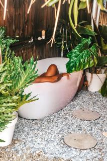 Le Baobab Rouge - Maison d'hôtes réservée aux femmes - Le Lamentin - 1