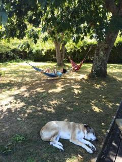 Maison landaise avec piscine proche Hossegor Capbreton - 9