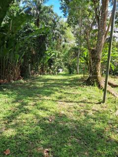 Casita Del CacaO - Almirante - 8