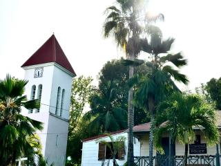 La brise du Gros Morne à Deshaies - 2