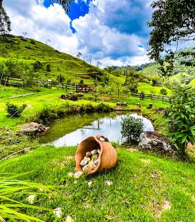 Chalé Araucária- Vale das Pedras MG - 1