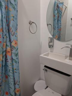 One unit of a fully renovated duplex near FSU - Tallahassee - 2