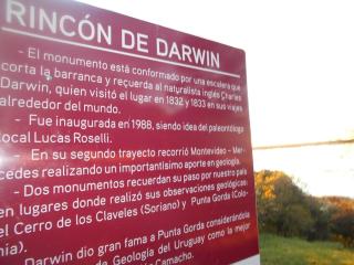 Casa de campo en Nueva Palmira - 8