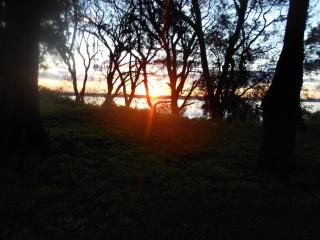 Casa de campo en Nueva Palmira - 5