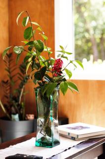 Blue Batch by the Beach - Paraparaumu - 6