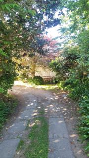 Blue Batch by the Beach - Paraparaumu - 3