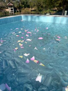 Serene Water View Retreat at Wellness Social Club - Ban Phae Khwang - 7