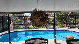 Peaceful Oasis - Cape Coral - 6