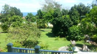 Pimento Lodge Resort - Port Antonio - 1