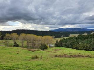 Titoki Downs Farm Stay - - 5