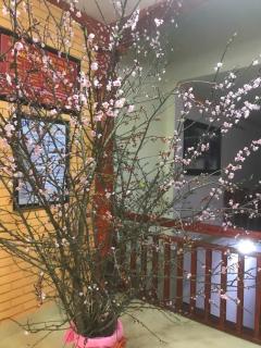 Quoc Thai Sapa Hotel - Sapa - 3