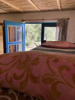 Finca Macalicia - 8