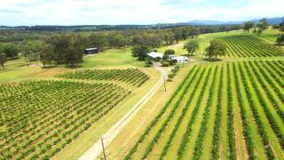 'Vineyard Escape Farm Stay' - 0