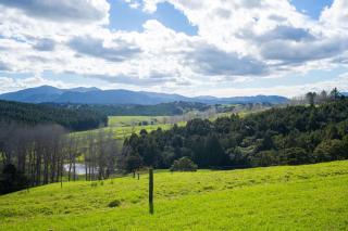 Titoki Downs Farm Stay - - 9