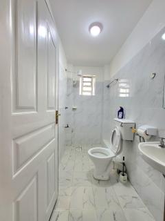 1 BDR APT 10 Mins To Thika Road Mall TRM - 1