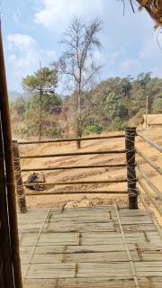 Emsuk Homestay - Nongstoin - 2