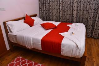 Luxurious Private Villa with Lawn Family Retreat - Ooty - 9