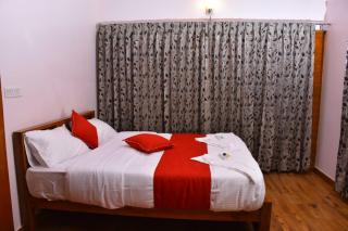 Luxurious Private Villa with Lawn Family Retreat - Ooty - 6