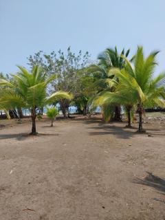 Doña Mary Caribbean House - - 8