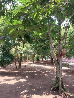 Doña Mary Caribbean House - - 1