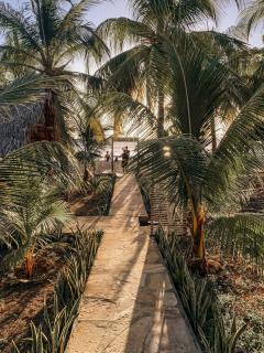 Nimbu Beachhouse - El Tránsito - 0