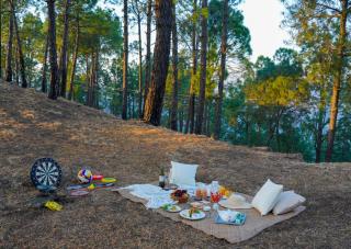 ELIVAAS Sirmour Baag Cottages - Nahna - 3