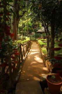 Glenmore Resorts Munnar - 7