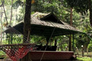 Glenmore Resorts Munnar - Anachal - 5