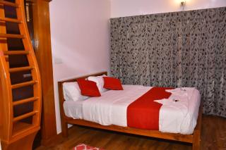 Luxurious Private Villa with Lawn Family Retreat - Ooty - 3