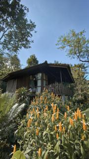Kebun Kita Ecolodge By Bali Cabin - Padangan - 8