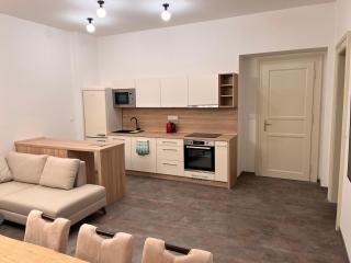 Pearl Bee Deluxe Suites - Plzeň - 2