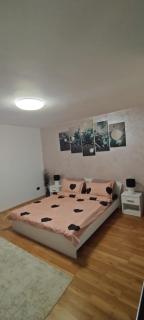 SOPHIA Central Studio - Hunedoara - 9