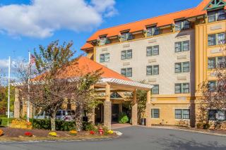 Comfort Suites Near Casinos - Norwich - 9
