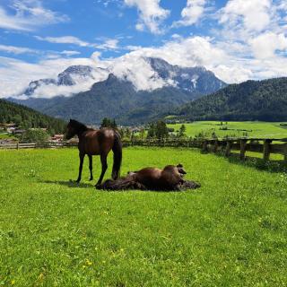 Bommerhof - Waidring - 7