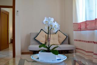 Guest House in the Center of Olbia - Olbia - 8