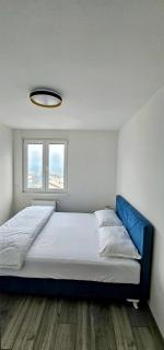 Apartman Vrućica view - Teslić - 8