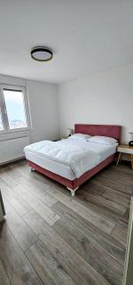 Apartman Vrućica view - Teslić - 6