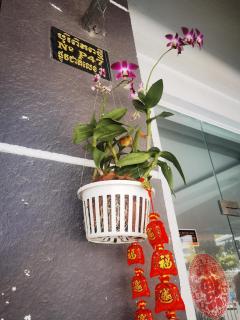 朋来民宿酒店 - Phnom Penh - 6