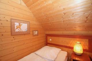 Auerhahn Ferienhäuser Auerhahn 510 - Hasselfelde - 7